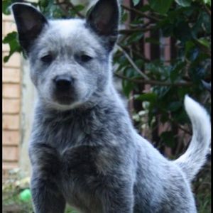 Meet your Posher, Clinton